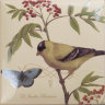 BIRD DECORS 6 pz, Amadis Fine Tiles (декор 15х15) 