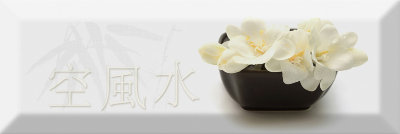 Absolut Keramika Decor Japan Tea 04 A 10x30 декор