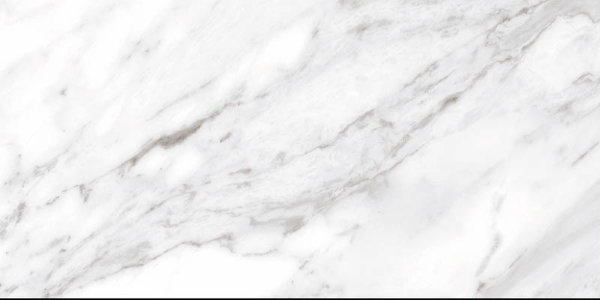 Ceracasa North Gloss White 49,1x98,2 керамогранит 