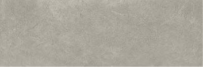 Benadresa Reine Grey керамическая плитка 30х90